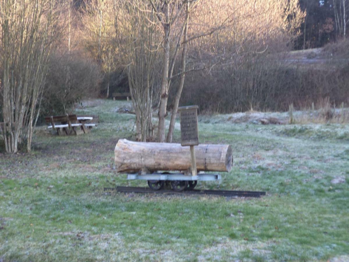 Ferienappartment mit Schlafzimmer Farschweiler Exterior foto
